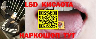 спайс Гай