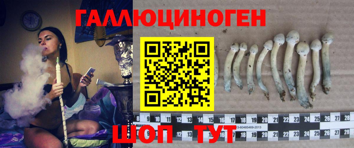 Галлюциногенные грибы мицелий Муром
